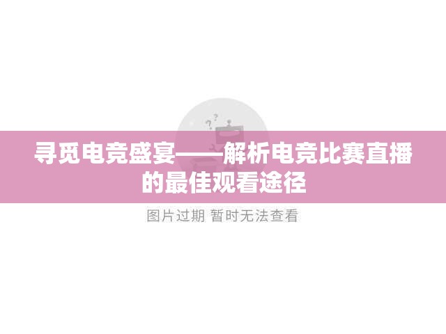 寻觅电竞盛宴——解析电竞比赛直播的最佳观看途径